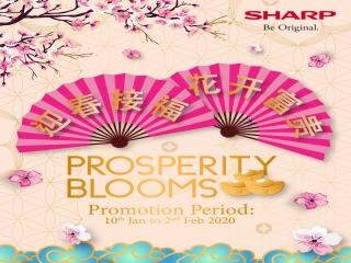 Prosperity Blooms 2020