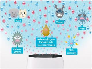 How Do Air Purifiers Work? 4 Things You Need to Know- SHARP
